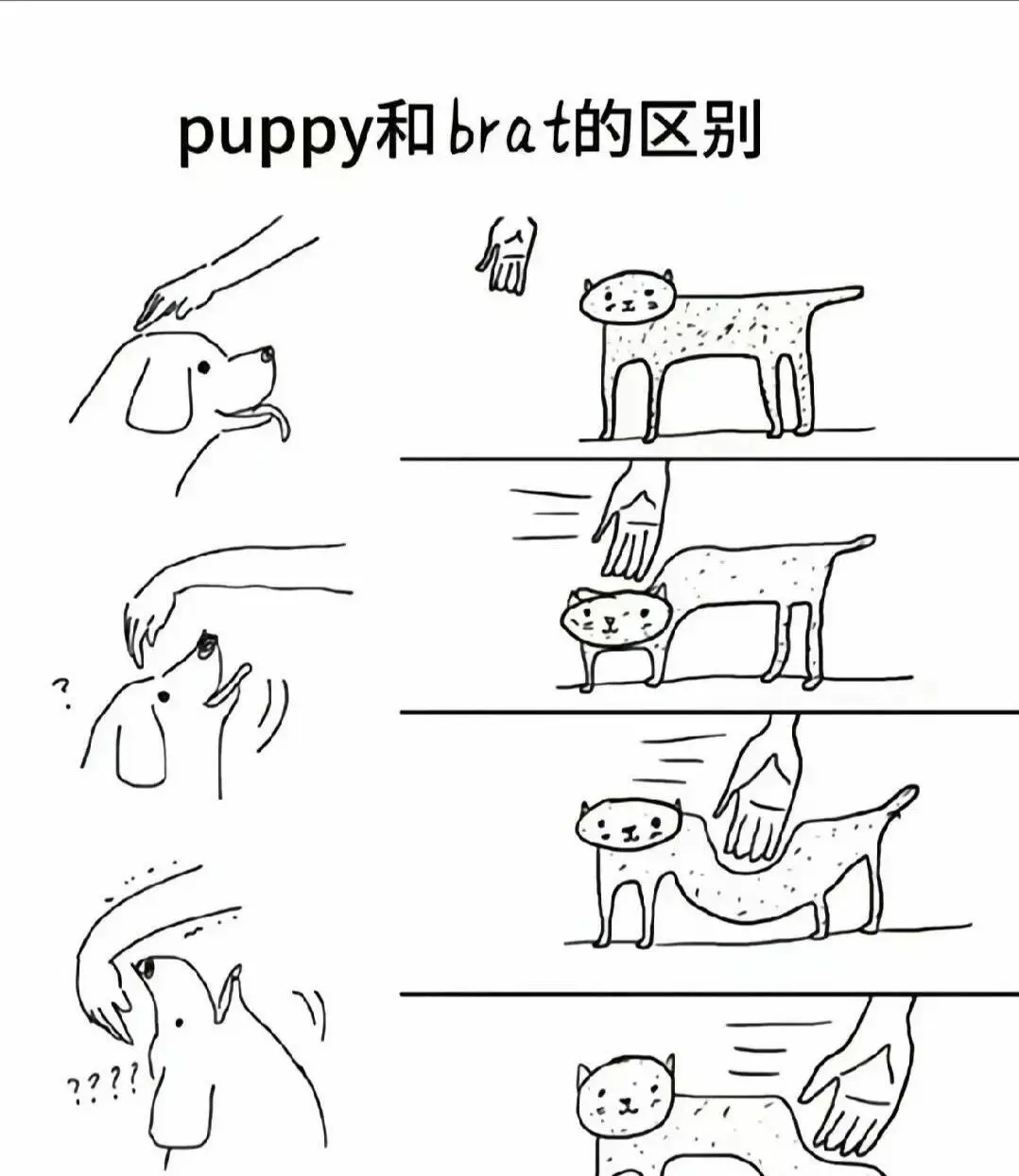 【西檬之家】小圈是什么？字母圈新人入圈权威指南