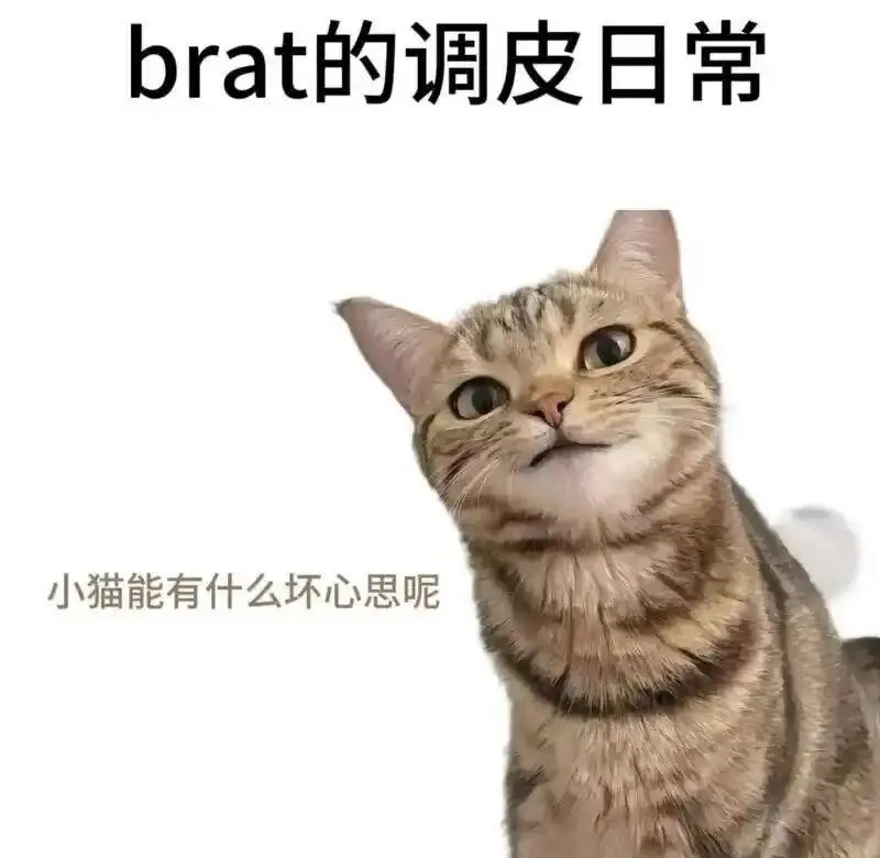 【西檬之家】s属性详解：字母圈新人的权威入圈指南