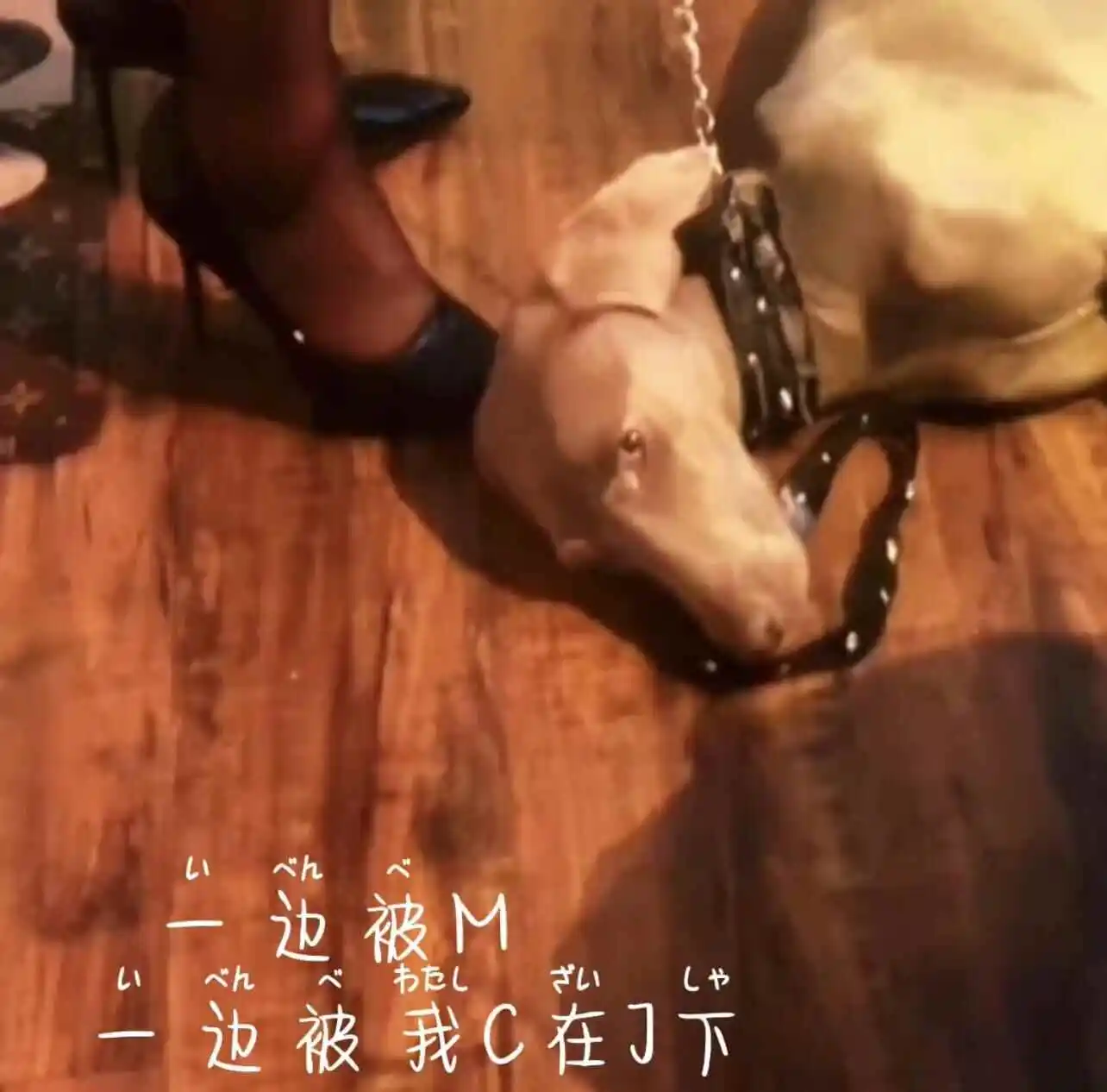 【西檬之家】斯慕圈是什么？BDSM新人入圈的权威指南