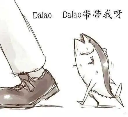 【西檬之家】K9是什么？揭秘字母圈犬系扮演文化