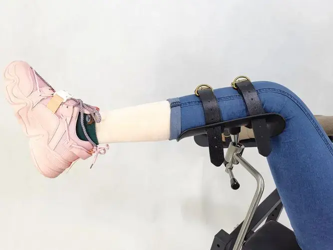 西檬之家：BDSM管教新手的权威入圈指南