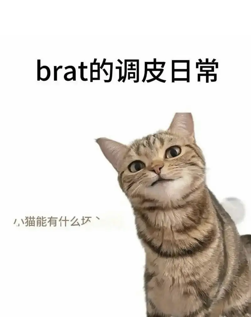 S倾向：实用指南