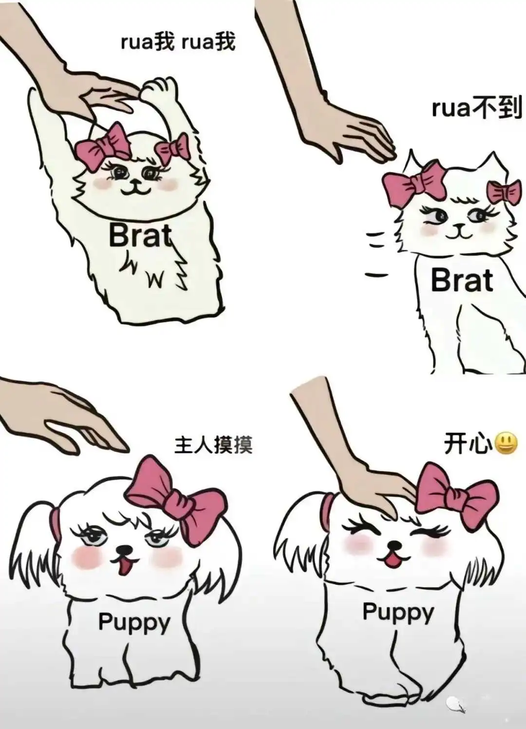 【西檬之家】BDSM关系详解：新手如何建立健康的Dom/sub互动