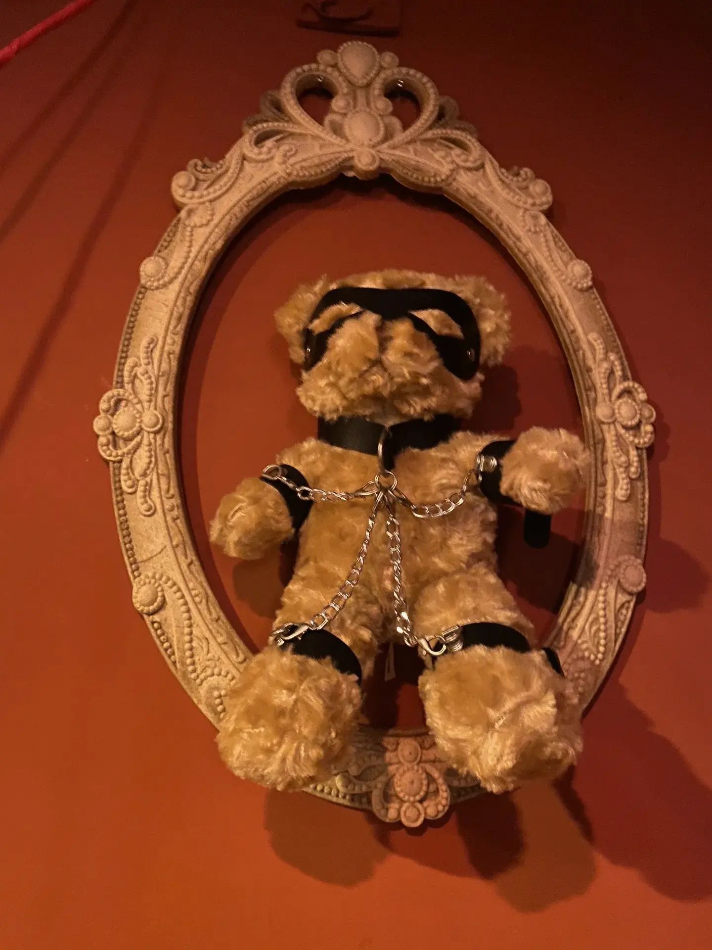 【西檬之家】字母圈新人如何安全入圈？Sp与SSC原则详解