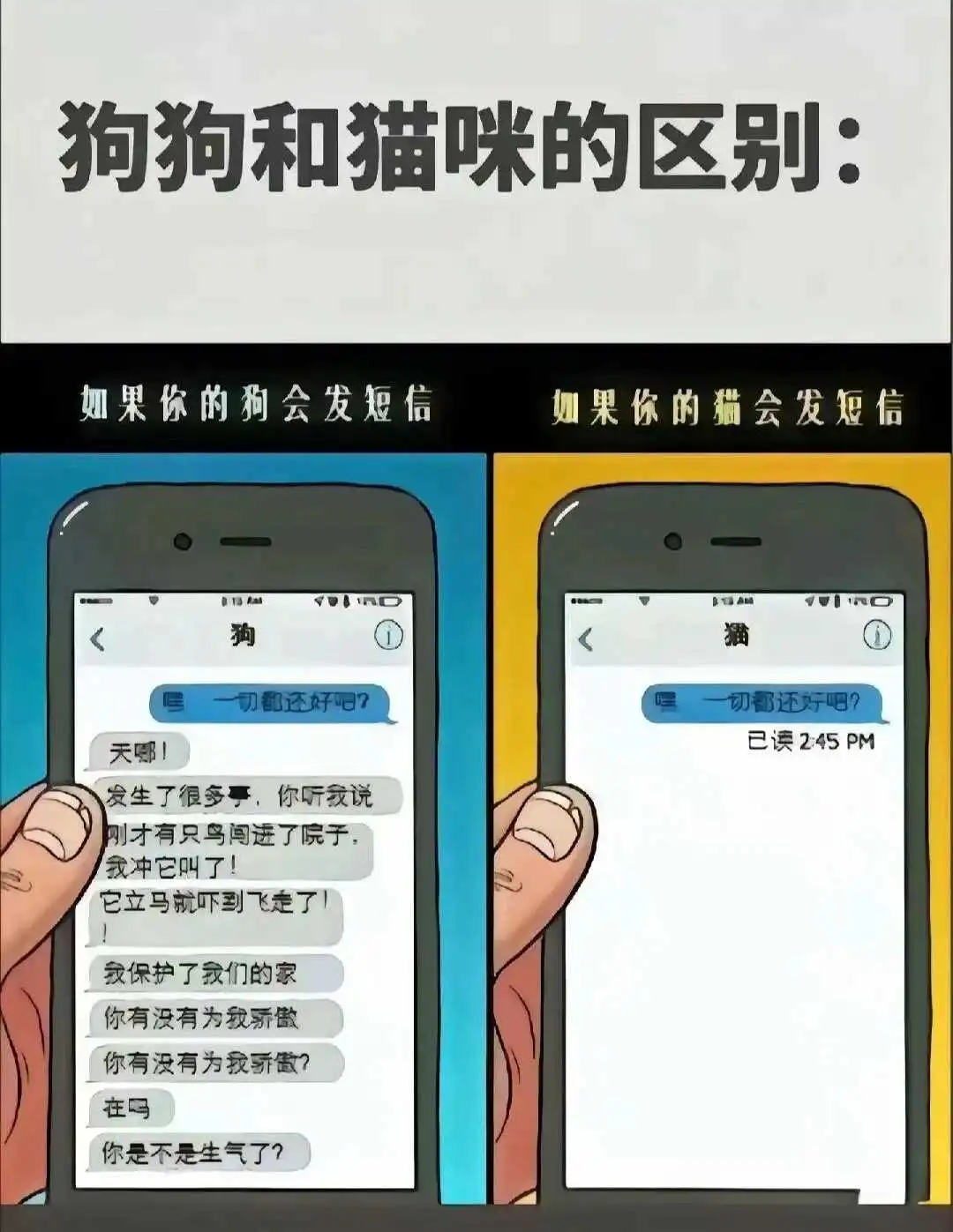 【西檬之家】TK是什么？字母圈新人入圈指南