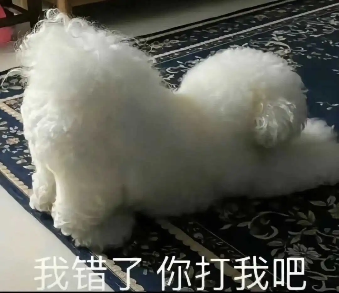 西檬之家：字母圈K8猫系角色入门指南